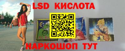 гидра Камышлов