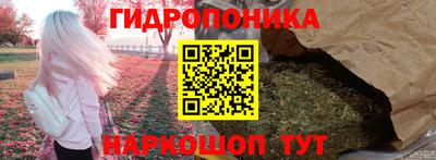 ECSTASY Канаш