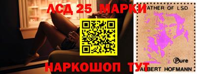 гидра Камышлов