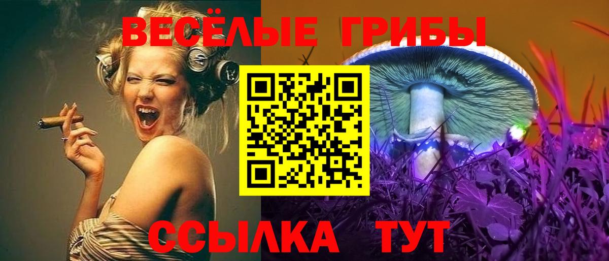 Галлюциногенные грибы мицелий Лосино-Петровский