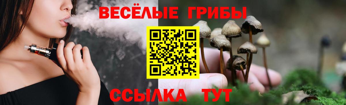 Псилоцибиновые грибы MAGIC MUSHROOMS  Вход с VPN  Лосино-Петровский 